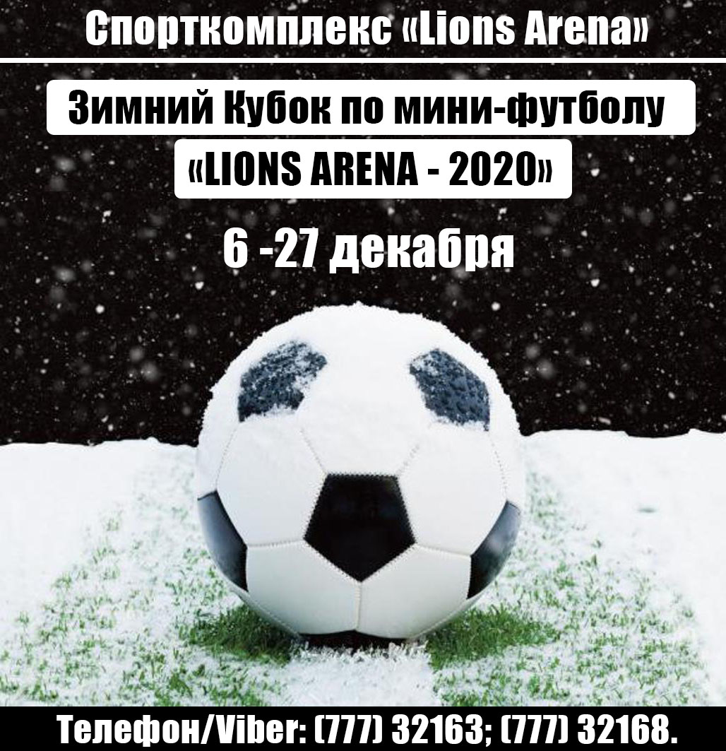 Зимний Кубок по мини-футболу — Lions Arena